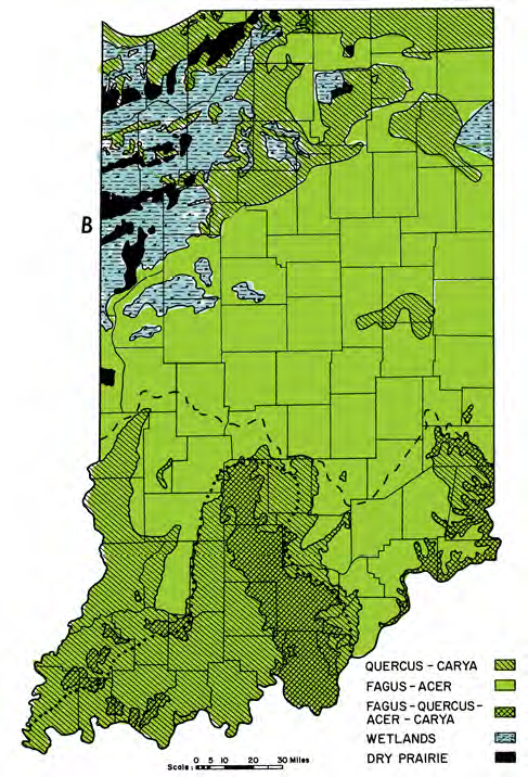 Indiana_Landcover_pre1800